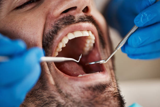 Best Mobile Emergency Dentist in Sauk City, WI